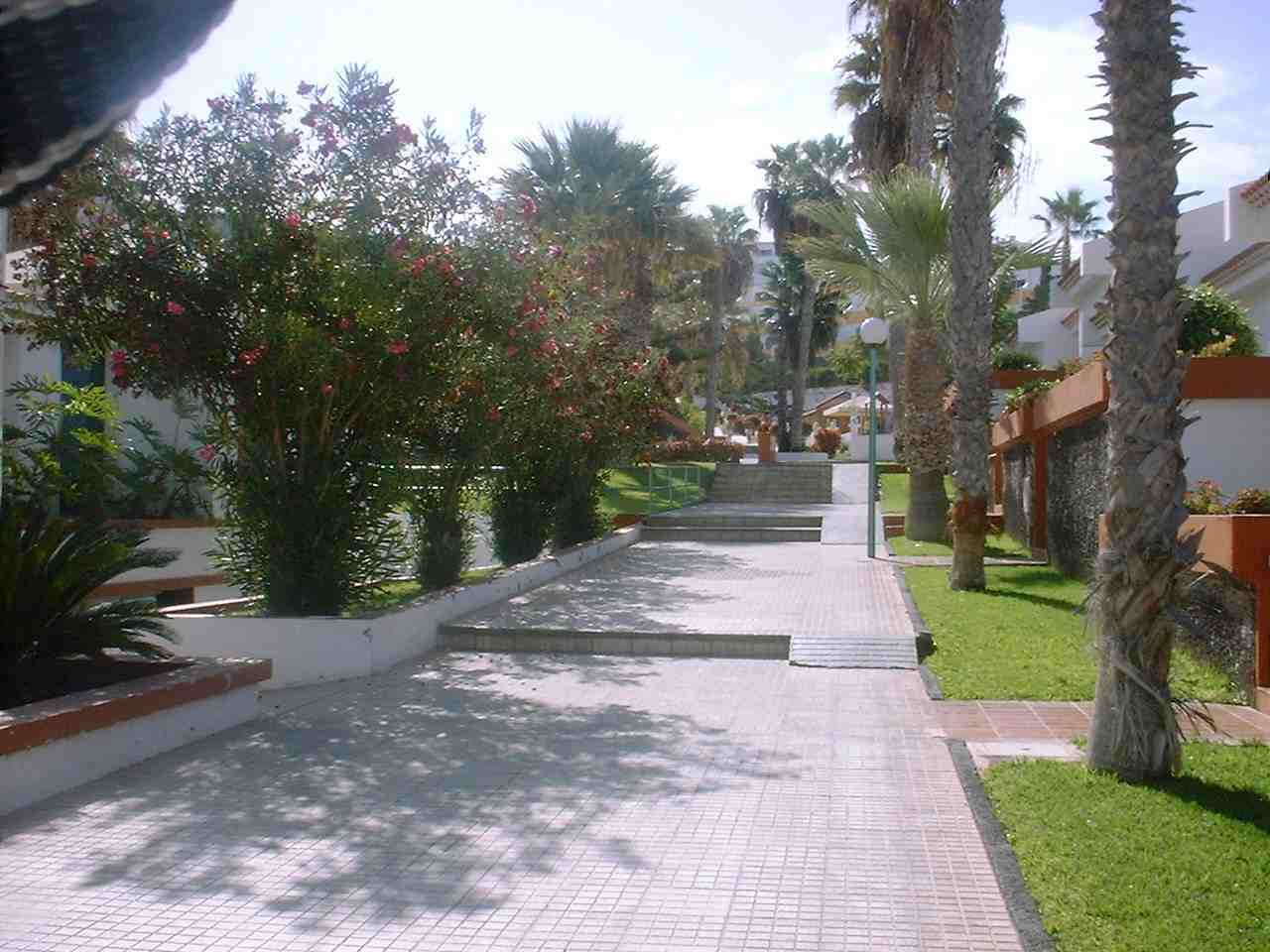 Island Village بلايا ذي لاس أميريكاس المظهر الخارجي الصورة